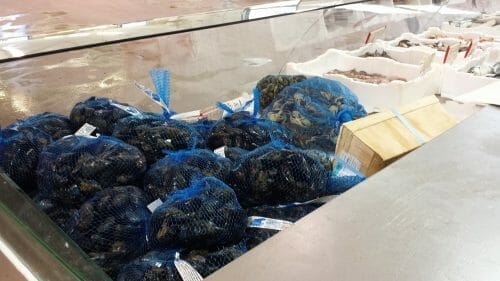 vendita cozze olbia varpesca