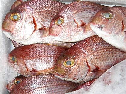 pesce fresco pescheria varpesca olbia
