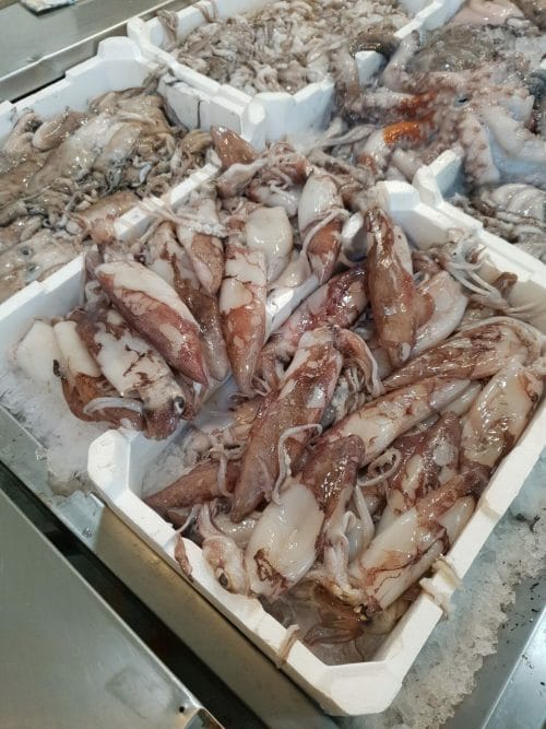 Calamari Freschi