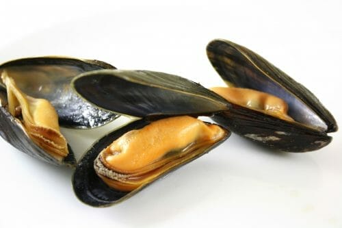 Cozze